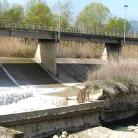 traversa-sauro